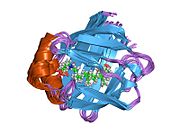 PDB 1o1v EBI.jpg