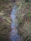 Thumbnail for Palmer Creek (Yamhill River tributary)