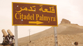 The Palmyra Castle (background) during the battle