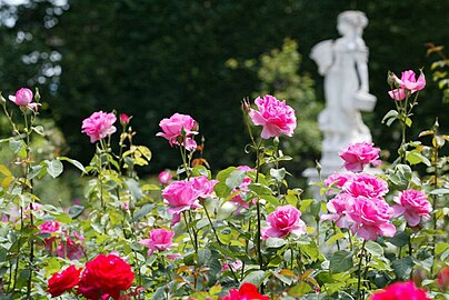 Parc Wallach dans le sud de Mulhouse à Riedisheim