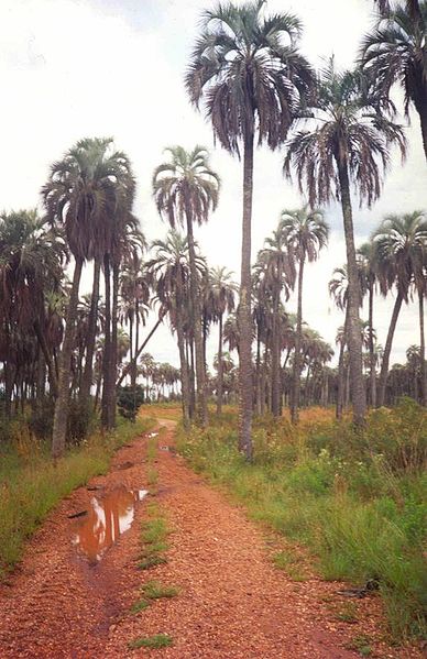 File:Parque Nacional El Palmar (5).jpg