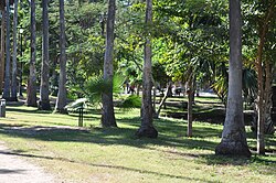 Giardino botanico "Benjamín F. Johnston" nel Parco Sinaloa