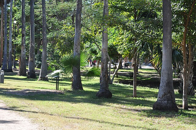 Botanic garden "Benjamín F. Johnston" of Parque Sinaloa
