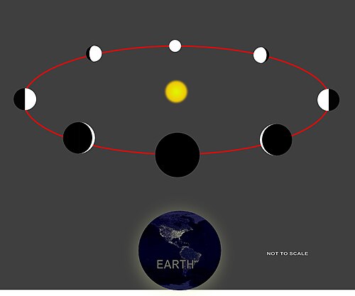 Реферат: Galileo Essay Research Paper Galileo Galilei Galileo