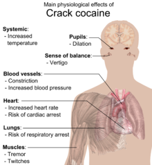 Main physiological effects of crack cocaine Physiological effects of Crack cocaine.png