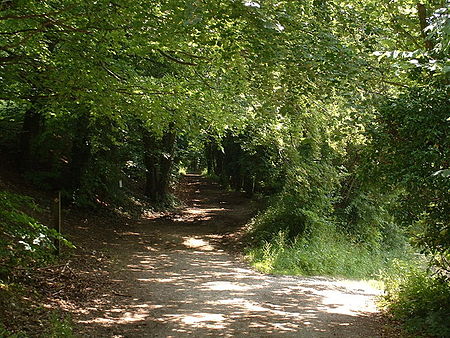 Pilgrims way westwell