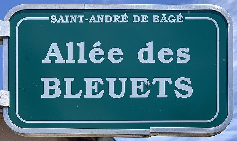 File:Plaque allée Bleuets St André Bâgé 1.jpg