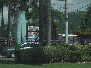 <span class="mw-page-title-main">Salto, San Sebastián, Puerto Rico</span> Barrio of Puerto Rico