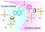 Thumbnail for Polyinosinic:polycytidylic acid