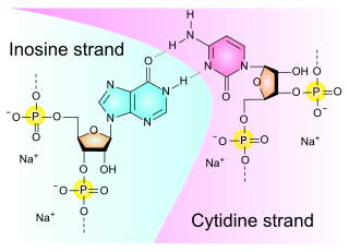 <span class="mw-page-title-main">Polyinosinic:polycytidylic acid</span> Chemical compound
