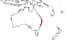 Australasian Virtual Herbarium.jpg'den indirilen Pouteria australis oluşum verileri