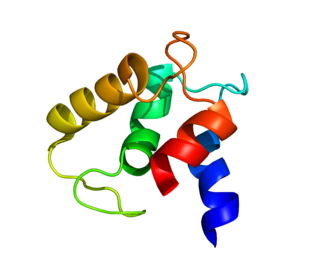 <span class="mw-page-title-main">MCFD2</span> Protein-coding gene in humans