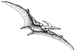 Tolkien stated that the Nazgûl's fell beasts, while not intended actually to be pterodactyls, were obviously ... pterodactylic.[T 26] Early reconstruction of a pterodactyl shown