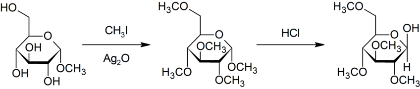 Purdie methylation.png