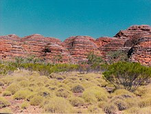 The Bungle Bungle Range, featured in Baz Luhrmann's Australia Purnululu National Park (Bungle Bungles) WA -.jpg