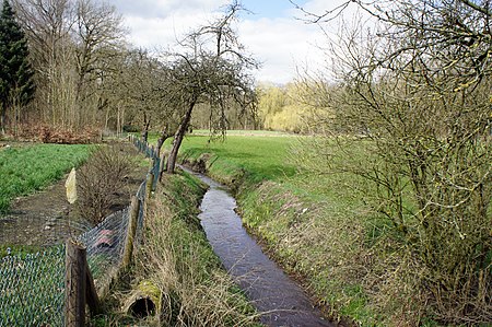 Purrmühlenbach in Harpstedt