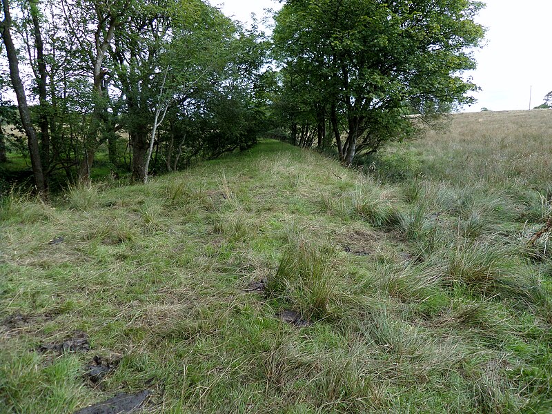 File:Ravenscraig Quarry railway - looking north.JPG