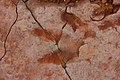 Red Fleet Dinosaur Trackway