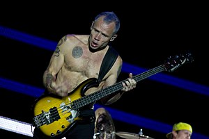 Red Hot Chili Peppers: Storia, Stile ed influenze, Altre attività