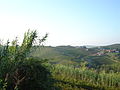 Ricaldone, panorama