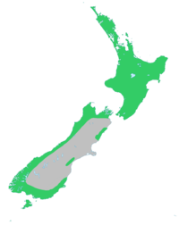 Rimu-natural-range.png