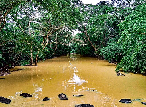 Heiliger Hain der Göttin Osun in Oshogbo: Osun-Fluss (UNESCO-Welterbe in Nigeria). River Osun, Osogbo