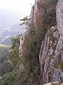 Rocks in Daedunsan