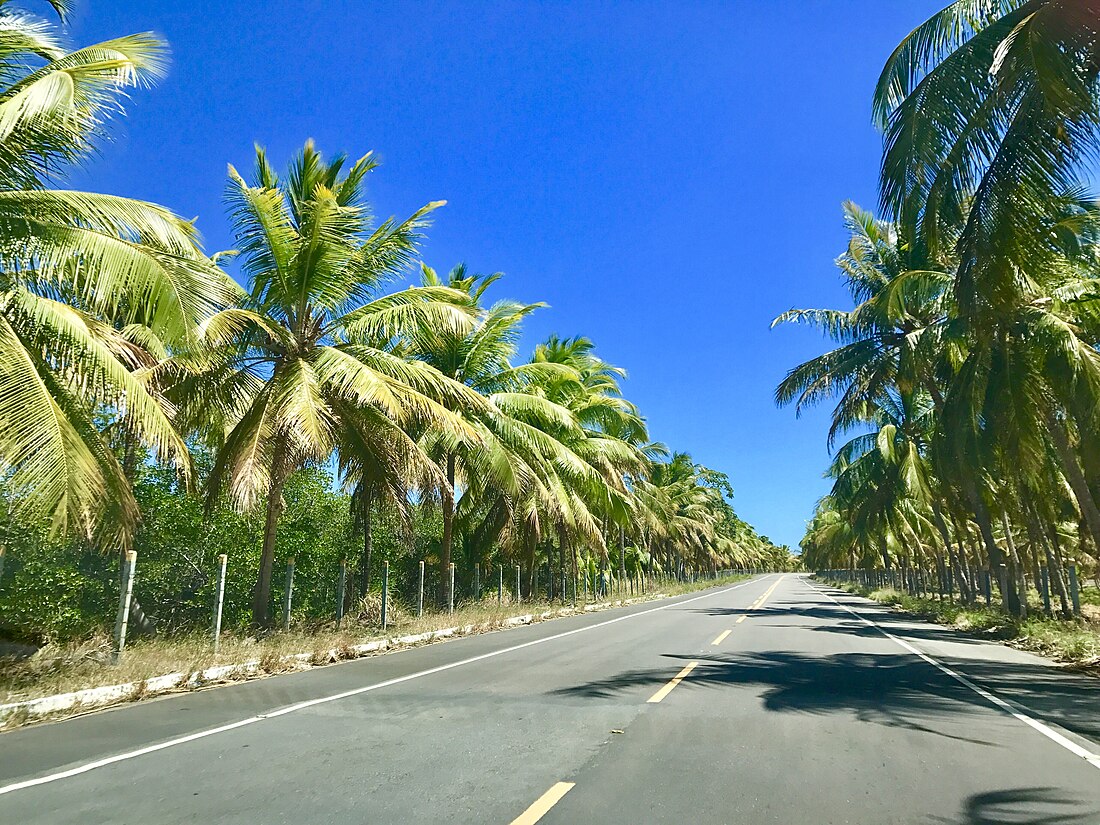 Roteiro (Alagoas)