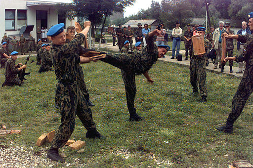 Russian paratroopers - martial arts demonstration