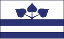 Drapeau de Rychvald