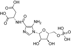 Stereo structural formula of SAICAR ((2S)-2-formamido, (2R,3R,4S5R)-3,4-dihydroxy-5-oxolan-2-yl)