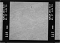 Kodak B&W infrared film with 700-800 nm bandpass filter