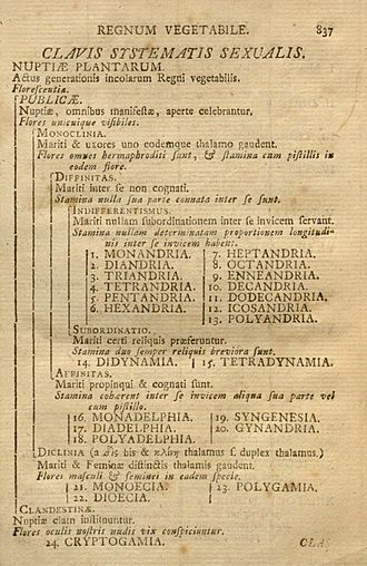 Laid paper from before the era of machine-made paper--leaf from Linnaeus's Systema naturae (1758) SN-p837.jpg