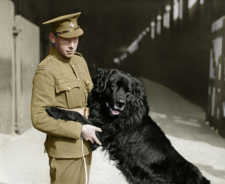 File:Sable chief with his handler.jpg