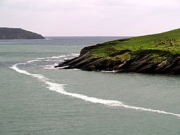 Sandy Cove Island vom irischen Festland - geograph.org.uk - 596664.jpg