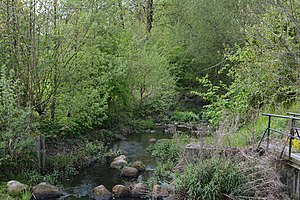 Schleswig-Holstein, Heidmühlen, Landschaftschutzgebiet Bad Bramstedt NIK 6212.jpg