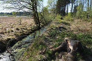 Schleswig-Holstein, Süderlügum, Naturschutzgebiet Süderberge bei Süderlügum NIK 2038.jpg