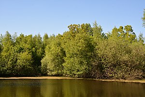 Schleswig-Holstein, Tellingstedt, Landschaftsschutzgebiet Großes Moor Kätner Moor NIK 7093.jpg