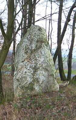 Illustratives Bild des Artikels Menhirs of Schönberg