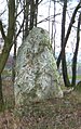 wikimedia_commons=File:Schoenberg-menhir-trafostation-H1.jpg