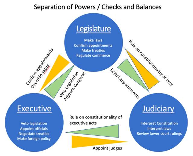 checks and balances chart