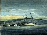Vignette pour HMS Shannon (1803)