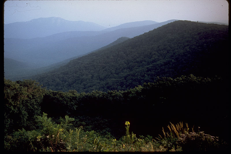 File:Shenandoah National Park SHEN4852.jpg