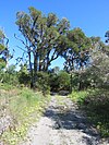 Shirley Balla Rawa Reserve, September 2020 10.jpg