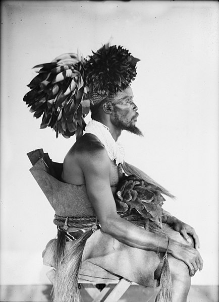 File:Side view portrait of Okondo, Chief of the Mangbetu AMNH 111788.jpg