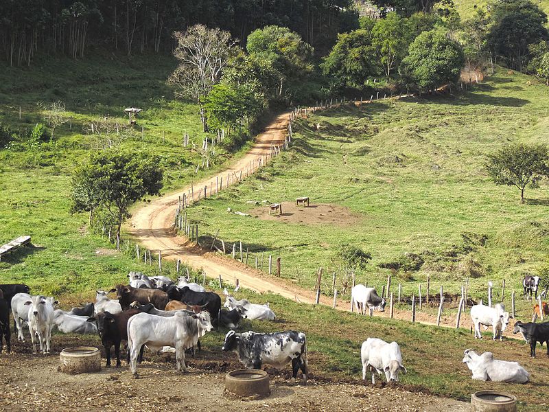 File:Sitio em Socorro.jpg