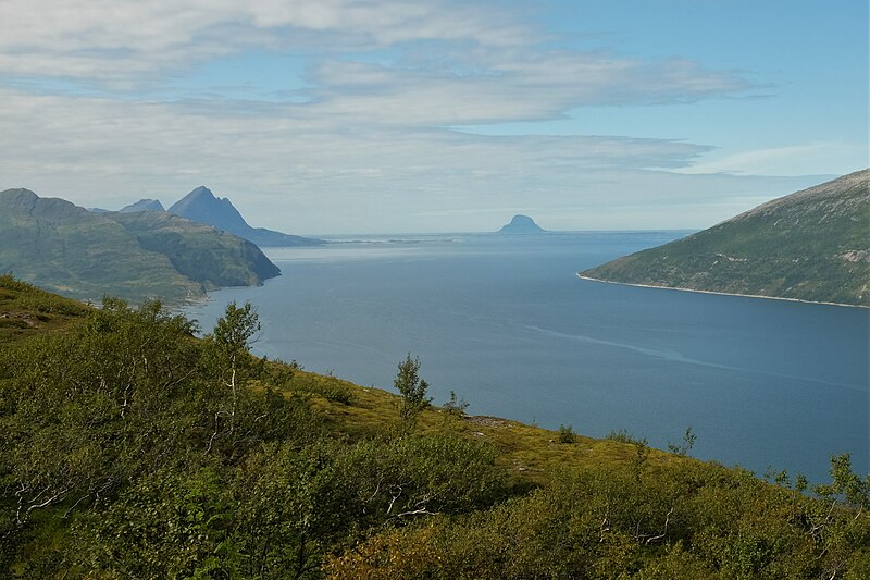 File:Sjona seen from Sjonfjellet.jpg