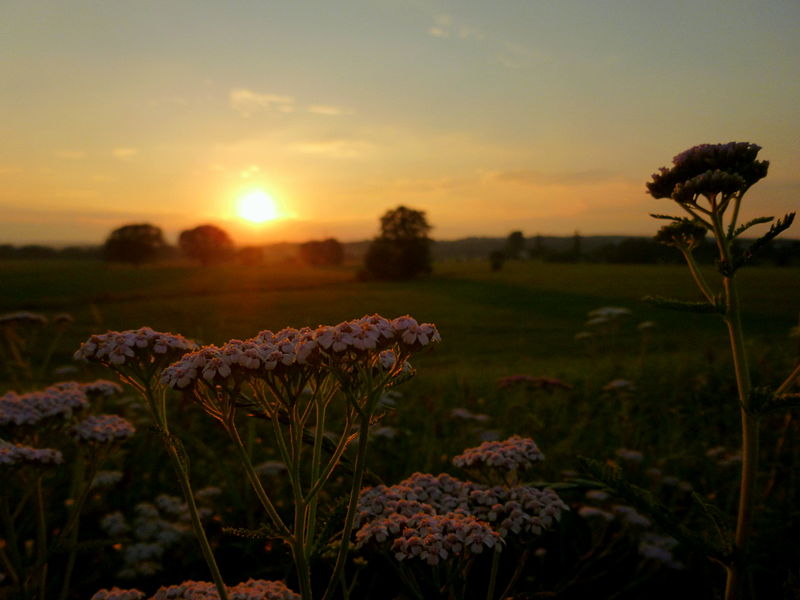 File:Sonnenuntergang in der Schwalm.jpg