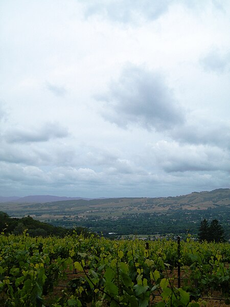 File:Sonoma Valley from Hanzell Vineyards - Stierch.jpg