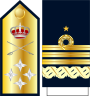 Spain-Navy-OF-9-collect.svg